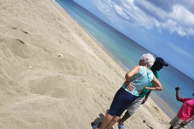 Island Tours of Tobago - Fort Granby and Plymouth