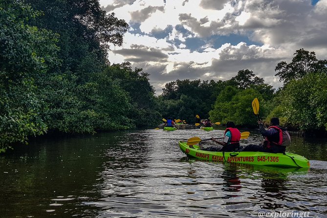 Kayak Adventure in the Second Largest Swamp of Trinidad and Tobago - Why Caroni Swamp is best seen from a kayak