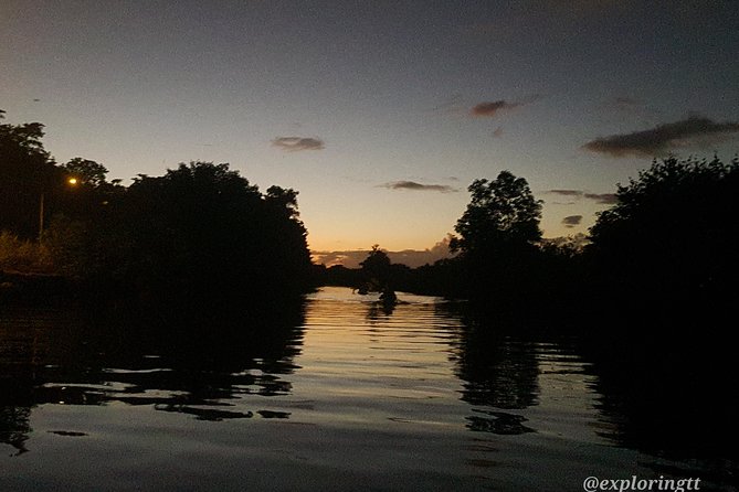 Kayak Adventure in the Second Largest Swamp of Trinidad and Tobago - Scarlet ibis, flamingos, and the luck factor