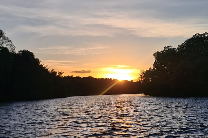 Kayak Adventure in the Second Largest Swamp of Trinidad and Tobago - What Dominic adds to the outing