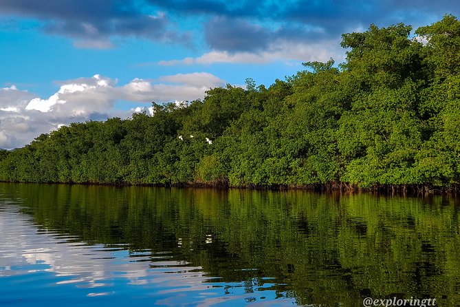 Kayak Adventure in the Second Largest Swamp of Trinidad and Tobago - The flat-bottomed boat return