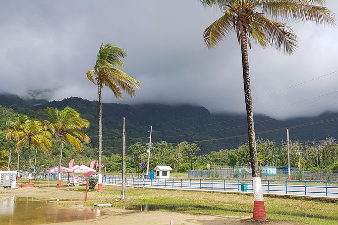 Maracas Beach - Who will enjoy this beach outing