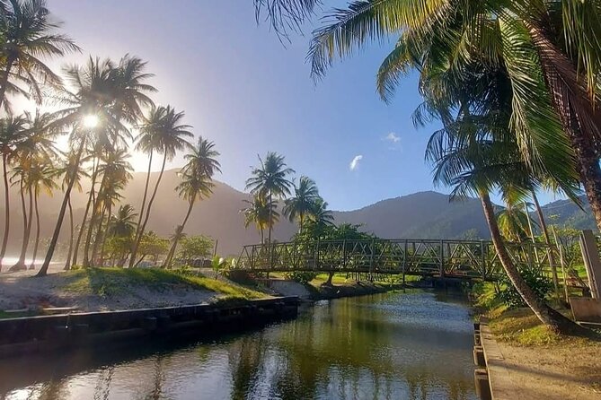 Maracas Beach Excursion & City Pass by tour - The road to Maracas Bay is half the experience