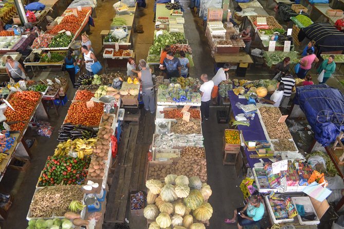Mini Island Tour of Trinidad - At a glance: what this tour delivers