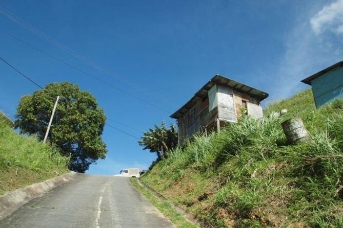 Paramin Jeep Tour in Trinidad - Pickup, airport connections, and timing