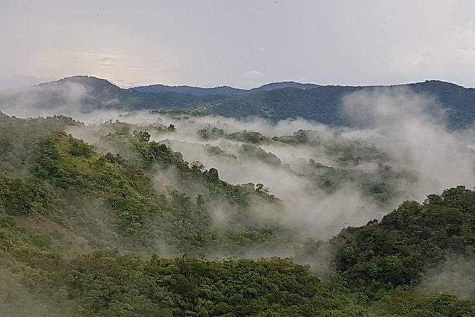 Paramin Jeep Tour in Trinidad - The guide can make or break the outing