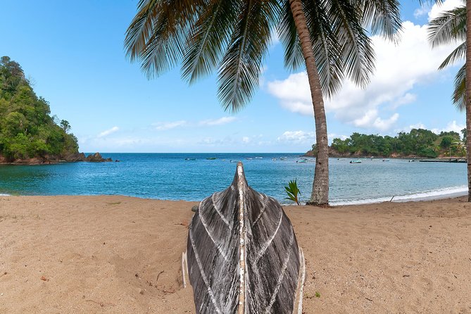Partlatuvier Bay Day Trip with Lunch - Why Parlatuvier Bay makes a good Tobago day trip