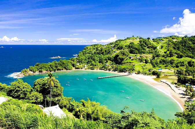Partlatuvier Bay Day Trip with Lunch - Who will enjoy this outing most?