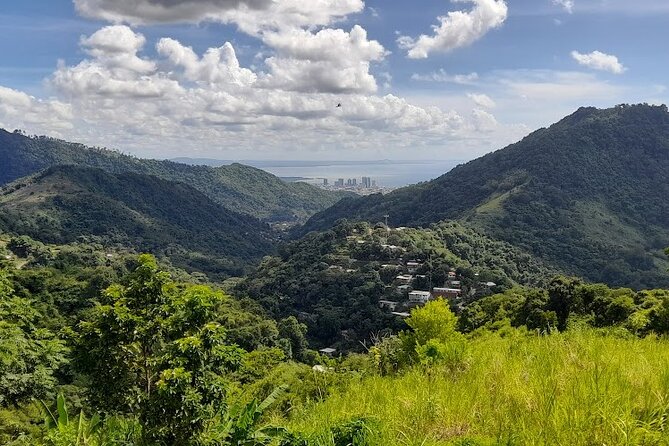 Personalized Private Tour The Paramin Hills - Local food, seasonings, and what you should budget