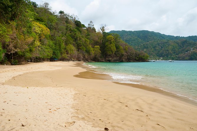 Pirate's Bay Day Trip with Lunch - Snorkeling for turtles, squid, fish, and coral