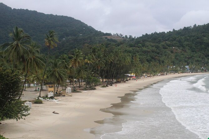 Port of Spain City Highlights and Maracas Beach - Is $98 a fair price?