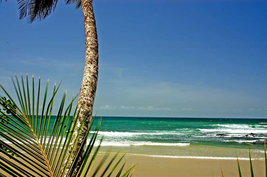 Port of Spain: Coastal Tour of Trinidad - The North Coast Road: The Journey Is Part of the Tour