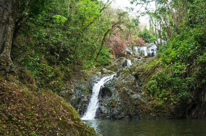 Rainforest Tour - Adding Argyle Waterfall after the forest