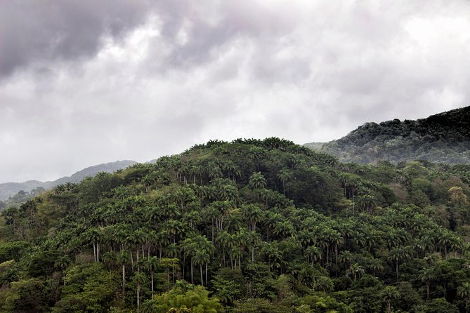 Rainforest Tour - Is $140 a fair price?