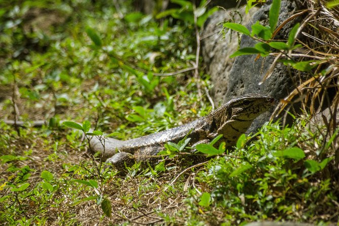 Rainforest Tour - Who will enjoy this rainforest tour most