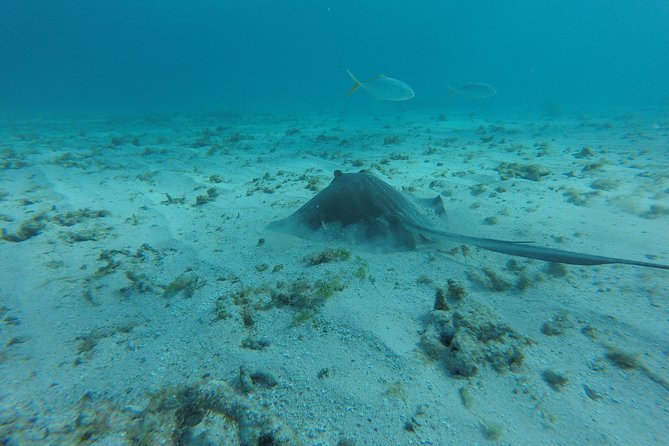 Snorkeling Tour (with Light Refreshments) - Light Refreshments Keep the Boat Ride Simple