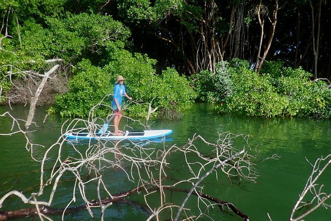 Stand Up Paddle Lessons - Why Duane’s teaching style matters