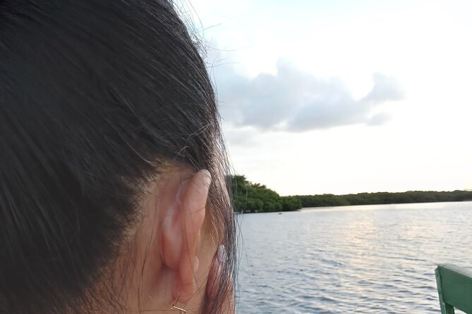 The Scarlet Ibis - Caroni Swamp Tour - Ariapita Avenue and the doubles stop