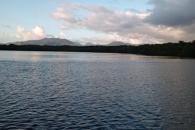 The Scarlet Ibis - Caroni Swamp Tour - Practical tips for a better evening