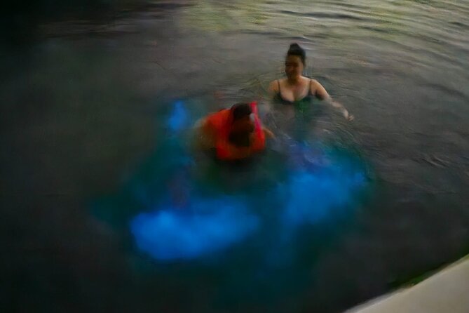 The ULTIMATE Bioluminescence night time adventure with Brandon - The mangrove cruise sets the mood