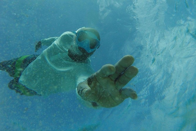 The ULTIMATE Bioluminescence night time adventure with Brandon - Swimming and snorkeling among the plankton