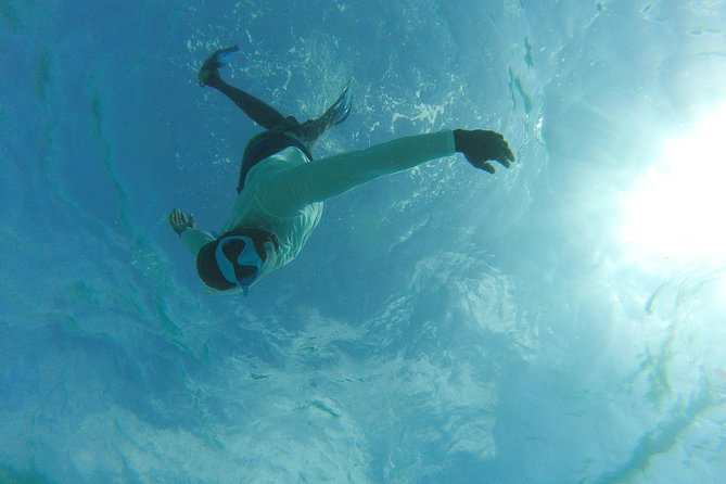 The ULTIMATE Bioluminescence night time adventure with Brandon - Nylon Pool adds a second kind of water experience