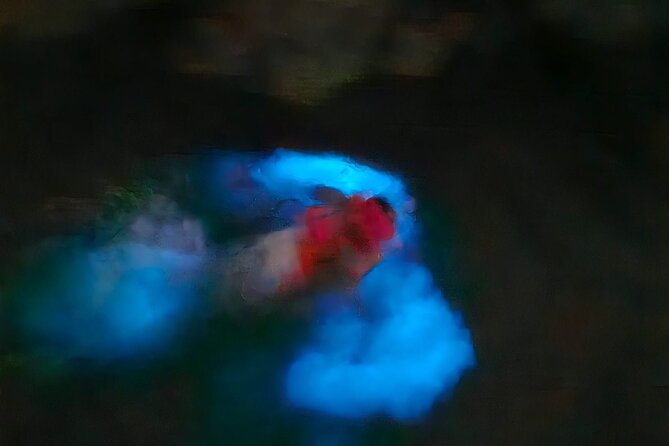 The ULTIMATE Bioluminescence night time adventure with Brandon - Is $170 per person a fair price?