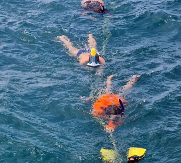 Tobago: Buccoo Reef and Nylon Pool Boat Tour with Transfer - Coral Gardens: snorkeling from the boat