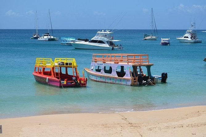 Tobago Buccoo Reef Glass Bottom Boat Cruise and Island Sightseeing Tour - Seeing Buccoo Reef through the glass-bottom boat