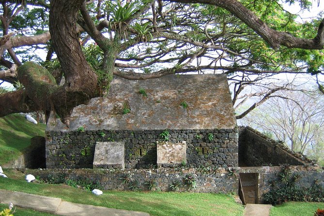 Tobago Buccoo Reef Glass Bottom Boat Cruise and Island Sightseeing Tour - A final hour at Store Bay