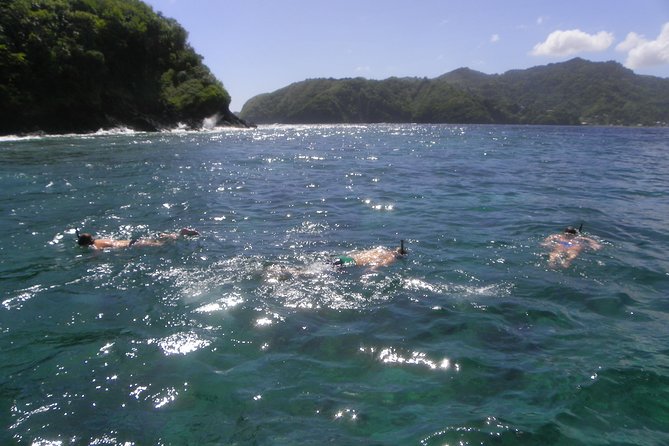 Tobago Buccoo Reef Glass Bottom Boat Cruise and Island Sightseeing Tour - Weather, waiting, and practical planning