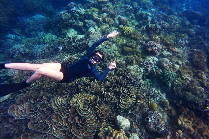 Tobago Buccoo Reef Glass Bottom Boat Tour - Nylon Pool, Tobago’s most relaxed stop