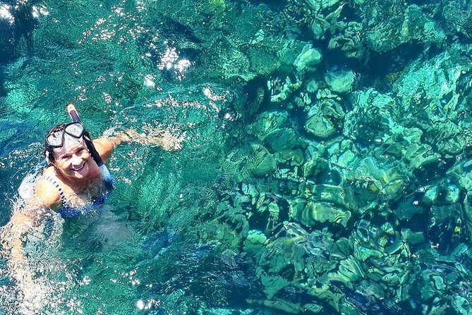 Tobago Buccoo Reef Glass Bottom Boat Tour - Weather, visibility, and the natural limits of reef trips