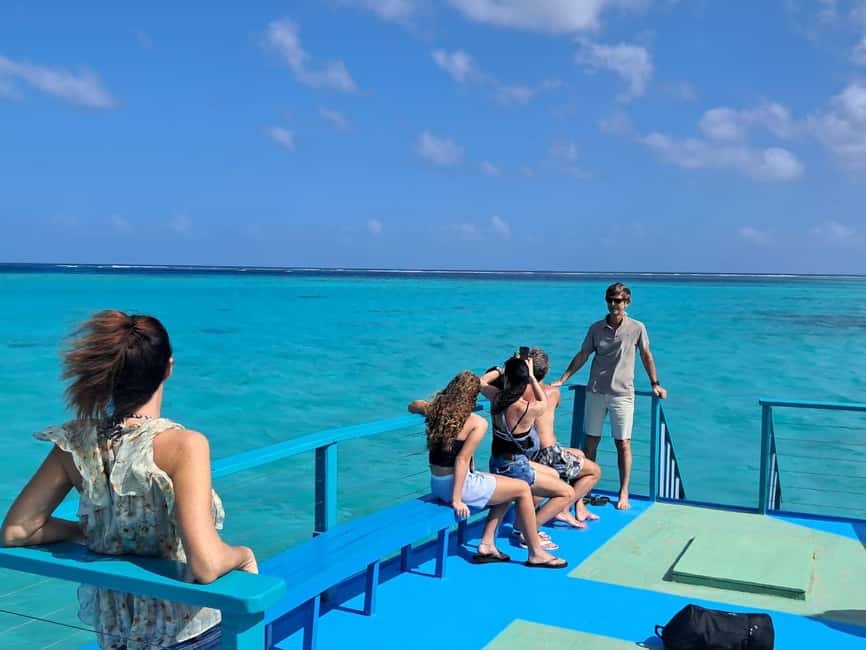 Tobago: Buccoo Reef Marine Park Glass Bottom Boat Tour - Why Buccoo Reef works well as a half-day outing
