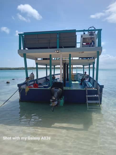 Tobago: Buccoo Reef Marine Park Glass Bottom Boat Tour - Glass-bottom views at Coral Garden