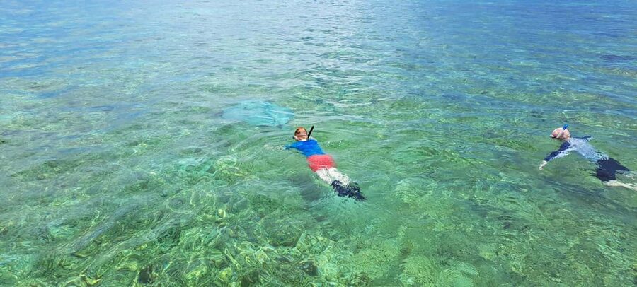 Tobago: Coral Reef Boat Tour with BBQ and Transfer - From Buccoo Beach to the Reef