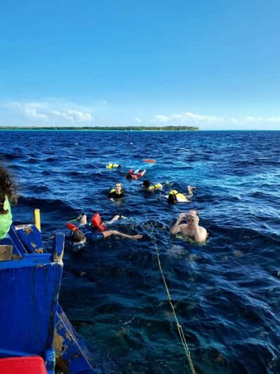 Coral Reef Boat Tour with BBQ and Transfer