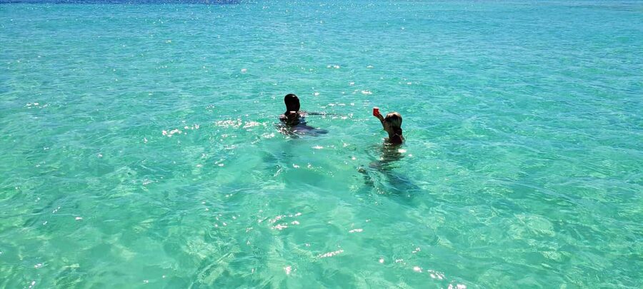 Tobago: Coral Reef Boat Tour with BBQ and Transfer - What to Bring for a Better Day