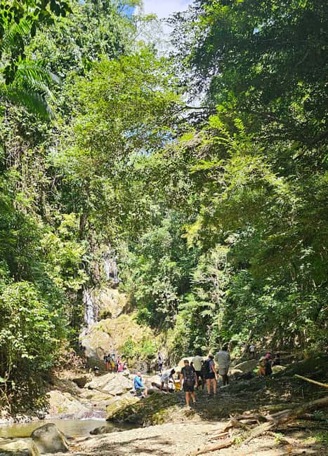 Tobago: Half Day Atlantic Coast Tour with Transfer - Fort Granby brings a rougher coastal setting