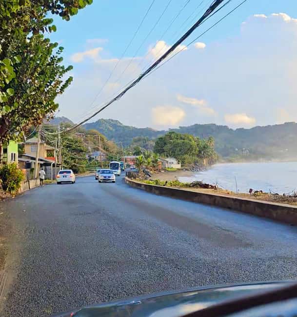 Tobago: Half Day Atlantic Coast Tour with Transfer - What the guide can add to the day