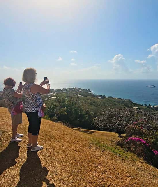 Tobago: Half Day Atlantic Coast Tour with Transfer - What to bring and how to use the four hours