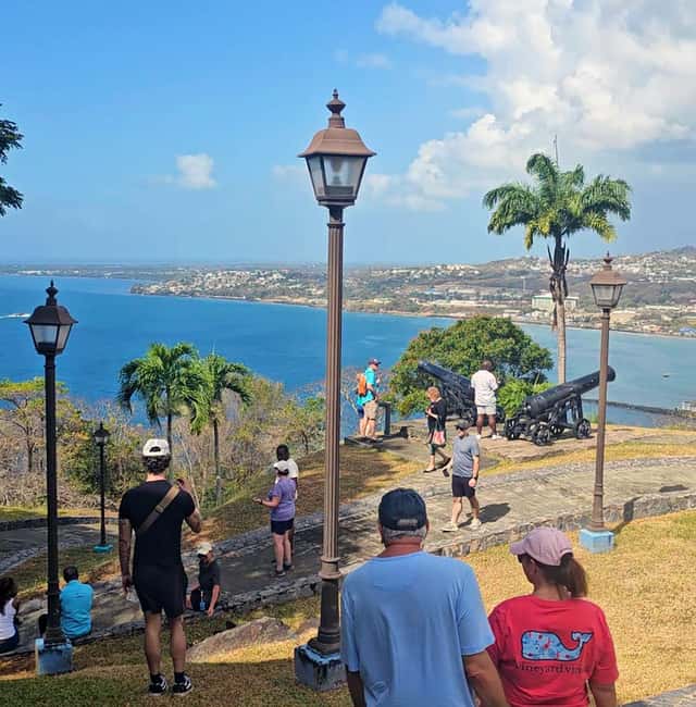 Tobago: Half Day Atlantic Coast Tour with Transfer - Who will enjoy this Tobago half-day tour
