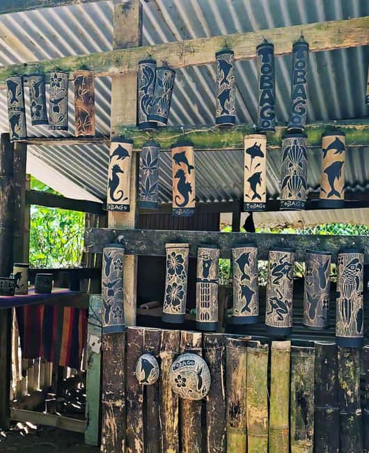 Tobago: Half Day Atlantic Coast Tour with Transfer - Fort King George and Tobago’s high coastal views
