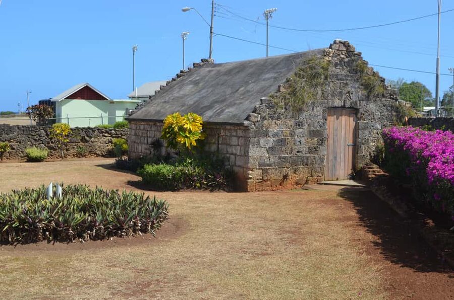 Tobago: Half-Day Highlights Tour - Crossing Tobago to the Caribbean side