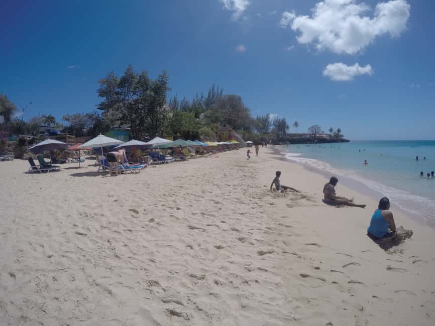 Tobago: Half-Day Highlights Tour - The pace, pickup details, and practical fit