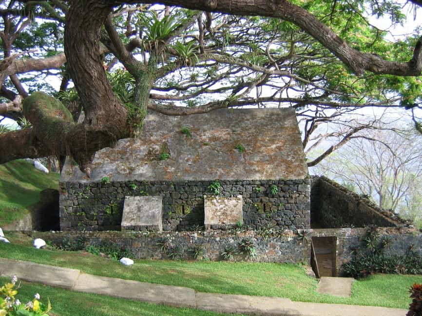 Tobago: Half-Day Highlights Tour - A colorful walk through Tobago’s Botanic Garden