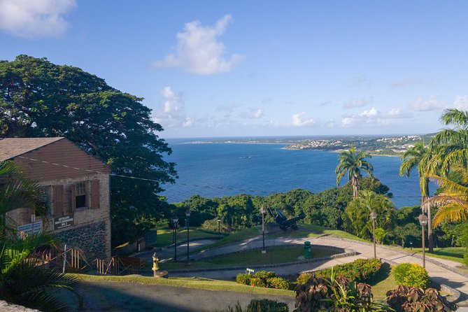 Tobago Island Tour - Key points to know before booking