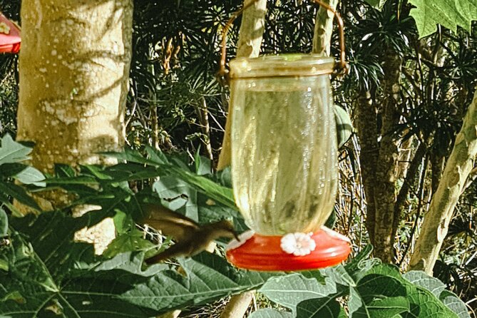 Tobago Island Tour - Is $125 a fair price?