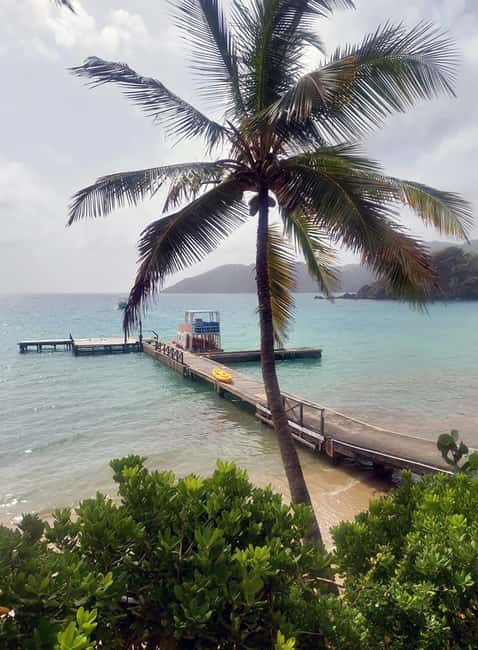 Tobago: Little Tobago Bird Sanctuary Visit and Boat Tour - Five details that shape the day