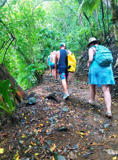 Tobago: Little Tobago Bird Sanctuary Visit and Boat Tour - Little Tobago Bird Sanctuary and the uphill view